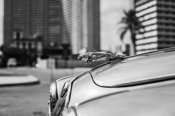 Kasino Golden Reels Android/iOS aplikace